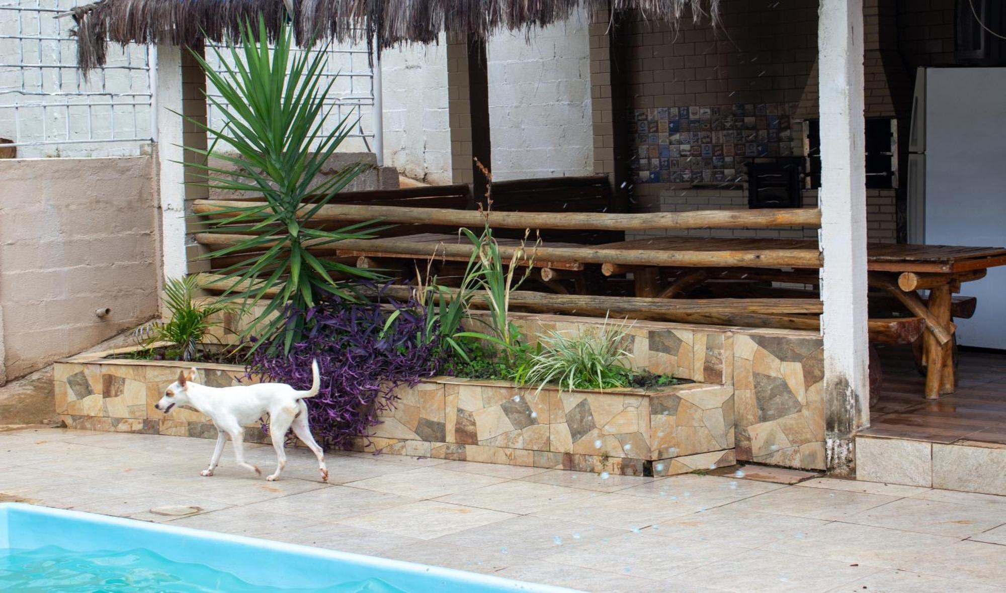 Chacara Familia Buscape Oliveira Villa Aracariguama Dış mekan fotoğraf